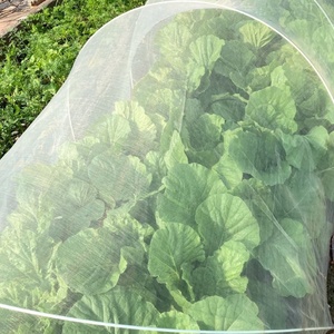 <span class=keywords><strong>Filet</strong></span> <span class=keywords><strong>anti</strong></span>-insectes agricole en HDPE, maille de protection contre les parasites pour serres, fruits et légumes - Product Image 3