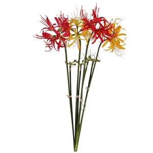 Vente en gros <span class=keywords><strong>de</strong></span> tissu <span class=keywords><strong>de</strong></span> soie artificielle avec des fleurs au toucher réel <span class=keywords><strong>Mandala</strong></span> rouge <span class=keywords><strong>fleur</strong></span> <span class=keywords><strong>de</strong></span> sable petit bouquet <span class=keywords><strong>de</strong></span> <span class=keywords><strong>lotus</strong></span> cramoisi - Product Image 3