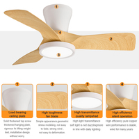 Ventilateur de plafond LED moderne personnalisable de 30 pouces avec pales ABS Moteur DC Télécommande Gradateur Couleur de boîtier personnalisée