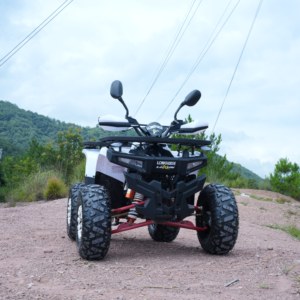 Quad 125cc fabriqué en Chine pour le tout-terrain - Product Image 6