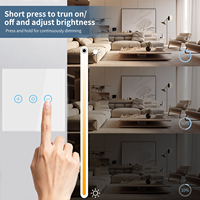 Interrupteur variateur intelligent Smart Life 240V UK pour maison intelligente avec application WiFi, télécommande et commande vocale pour l'éclairage mural