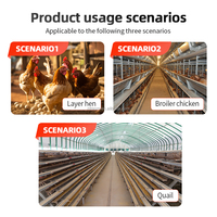 Nouveau 360 °   Abreuvoir automatique en acier inoxydable pour poulets et lapins, usage agricole