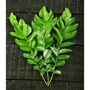 Poudre de thé vert fabriquée à partir de vraies feuilles de thé et parfois de saveurs naturelles, offrant des flavonoïdes, des catechines ou des ingrédients artificiels - Product Image 6