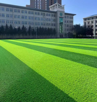 Gazon artificiel pour terrain de football, pelouse verte en polyéthylène, revêtement de sol sportif durable