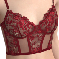 Groothandel Korset Beha & Korte Sets Doorzichtig Borduurwerk Mode Sexy Kant Lingerie Fabrikant Jumpsuits
