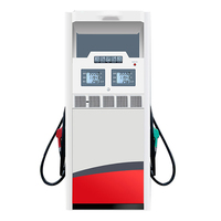 Dispensador de Combustible con 2 Boquillas, Bomba Doble, 2 Pantallas de Visualización, Precisión del 0.30% con Pago RFID para el Mercado de Sudáfrica