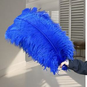 Vente en gros 24-26 pouces Grandes plumes d'autruche blanches Festival de carnaval 60-65cm Décoration de mariage 15-80cm Teint Fluffy Parties d'autruche - Product Image 5