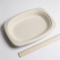 Assiette carrée ovale de 9 pouces en bagasse de canne à sucre, jetable et compostable, pour la restauration, les plats à emporter et la vente en gros