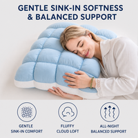 Meilleure vente transfrontalière : Oreiller moderne moelleux et rafraîchissant, Oreiller nuage pour le sommeil avec soutien cervical cinq étoiles, pour la vente en gros