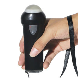 Échographe vétérinaire professionnel 3,5 MHz B-mode pour le diagnostic de gestation porcine, destiné aux exploitations porcines - Product Image 2