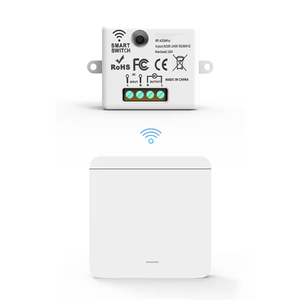 Rf 433Mhz Module chuyển đổi không dây, phù hợp với <span class=keywords><strong>LED</strong></span> ánh sáng hulb đèn nhà điều khiển từ xa tường, 1gang 10A 110V 220V Nhà thiết bị chuyển mạch - Product Image 1