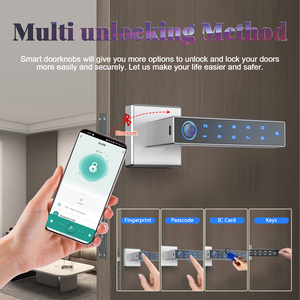 Hiện Đại Hợp kim kẽm phòng ngủ điện cửa gỗ thông minh cửa vuông khóa xử lý Khóa vân tay + ứng dụng + mã + chìa khóa - Product Image 5