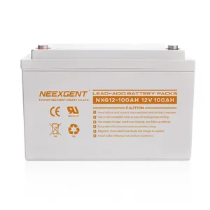 Deep Cycle Gel Battery 12v 100ah Lead Acid Rechargeable Battery Pack for Electric Vehicles