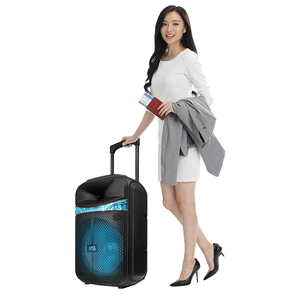 Portable 12 Inch Trolley Speaker 60W <strong>Karaoke</strong> Tower With Dj <strong>Mixer</strong> Pa System Big Powered Speakers - Product Image 3