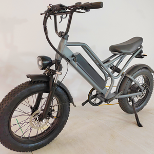 20 inch điện xe đạp leo núi Hub động cơ cho người lớn hợp kim nhôm khung 48V e-xe đạp cho thành phố - Product Image 2