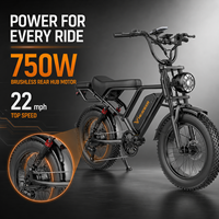 Vélo Électrique Urbain pour Commuters avec Batterie au Lithium Amovible en Option et Panier Avant – Siège Passager Disponible – E-Bike Adulte