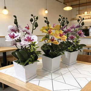 Orchidée Phalaenopsis Artificielle Paulon en Pot Carré de 27 cm, Plante d'Intérieur en Plastique Souple pour Décoration de Café, Maison ou Bureau - Product Image 3
