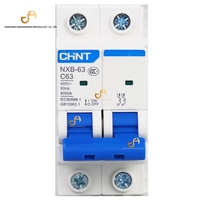 Inventaire Chine Fournisseur Agence Original Miniature Disjoncteur NXB-63 6A 10A 16A 20A 25A 32A 40A 50A 63A