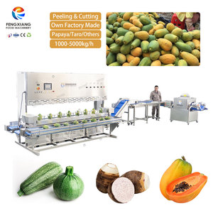 Machine à éplucher et à couper les fruits et légumes Fengxiang 3000 kg/h, acier inoxydable 304, 220V/380V, certifiée CE, machine d'usine - Product Image 1