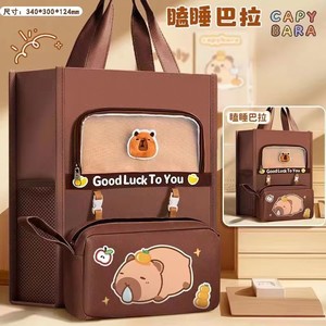 2025 Meilleure vente Capibala étudiant livre sac pour filles nouveau fourre-tout en toile avec étui à crayons détachable - Product Image 4