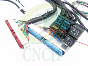 スタンドアロンワイヤーワイヤーワイヤーハーネスLS1LS2 LS3LS6エンジン (4L60E DBW付き) - Product Image 3