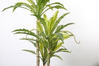 1.3m Artificielle Nid Fougère Plante Petits Faux Arbres Pour Salon Décor À La Maison