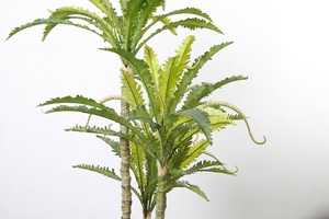 1.3m Artificielle Nid Fougère Plante Petits Faux Arbres Pour Salon Décor À La Maison - Product Image 4