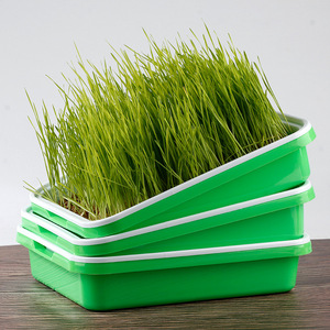 Ucuz kapalı Microgreen hidroponik arpa bitki takımı plastik tohum büyüyen hidroponik tepsiler