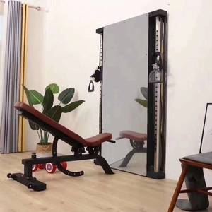 <span class=keywords><strong>Appareil</strong></span> d'entraînement complet pour l'exercice en vol à une voie, mural, avec miroir, pour <span class=keywords><strong>fitness</strong></span> - Product Image 5