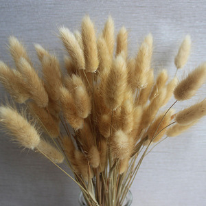 H070 — fabrication professionnelle chinoise décoration de mariage, graines séchées, fleurs séchées, queues de lapin, pampa - Product Image 4