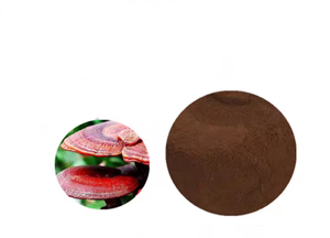 लंबे शेंग उच्च गुणवत्ता वाले गैनोडर्मा ल्यूसीडम रीशी मशरूम निकालने पाउडर, लाल रीबिशी बीज स्पोर पाउडर 10%-50% पॉलीसैकेराइड्स - Product Image 6