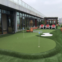Tapis de gazon synthétique pour extérieur, tapis de golf artificiel pour intérieur, gazon synthétique pour putting green