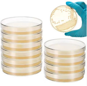 Placa Petri de 90x15mm estéril de plástico de <span class=keywords><strong>laboratorio</strong></span> con <span class=keywords><strong>agar</strong></span> de dextrosa de patata Placa de Petri de 9cm - Product Image 6