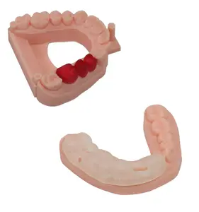 Pionext樹脂3Dプリンター歯科用特殊樹脂LCD光硬化感光性3D UV樹脂プリンター
