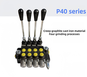 NBlandsky P40ไหลขนาดเล็ก, วาล์วไฮดรอลิกสองทิศทางแบบแมนนวลควบคุมร่างกายถังน้ำมันมอเตอร์31.5Mpa 40L/นาที - Product Image 4