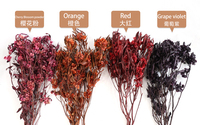 Groothandel Gedroogde Viooltjes Bloemen Natuurlijk Kleurrijk Handgemaakt voor Feestdecoratie Eeuwigdurend Bulk Premium OEM ODM