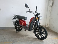 Trottinette électrique 1000W, batterie au plomb 48V 60V, trottinette électrique urbaine personnalisable en couleur
