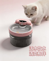 Fontaine à eau automatique pour animaux de compagnie de 2 L, distributeur d'eau en acier inoxydable avec fenêtre de niveau d'eau, filtre, utilisation en intérieur