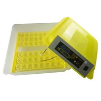 Incubateur numérique automatique pour volailles, capacité de 48 œufs : outils d'incubation idéaux pour l'éclosion des poussins, des cailles et des oies