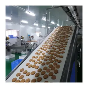 HYDGJ-600 200-300kg/h Small Automatic Biscuit Maker Machine Line Price of China Supplier