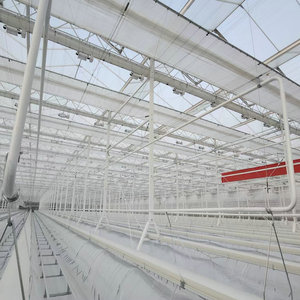Tecnología <span class=keywords><strong>de</strong></span> invernadero gótico <span class=keywords><strong>de</strong></span> película plástica <span class=keywords><strong>de</strong></span> túneles múltiples para cultivo <span class=keywords><strong>de</strong></span> fresas agrícolas - Product Image 2