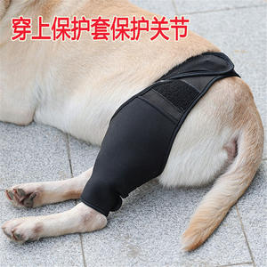 อุปกรณ์พยุงขาสำหรับสุนัขหลังผ่าตัด ป้องกันการบาดเจ็บบริเวณต้นขา พร้อมสายรัดยึดขาและพยุงข้อ - Product Image 3