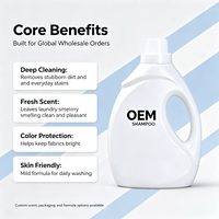 Deterjen Cair Ramah Lingkungan Formula Biodegradable Aman Untuk Semua Jenis Kain Cairan Pencuci