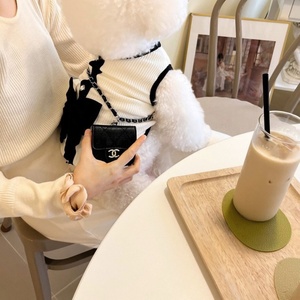 Vêtements de luxe pour animaux de compagnie, style vintage, robe pour chat et chien, printemps été, nouvelle jupe à nœud, ours Teddy Bomei, vêtements de Noël pour chien - Product Image 6