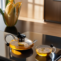 Nouvelle carafe à café en verre transparent avec couvercle noir, résistante à la chaleur, épaissie, pour usage domestique, avec filtre, pour la préparation du thé.
