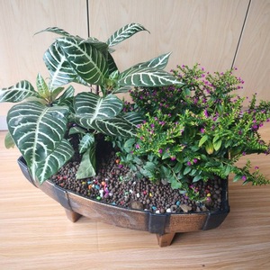 Maceta Moderna de Media Barril para Plantas, de Gran Capacidad, de Plástico y <span class=keywords><strong>Madera</strong></span>, para Jardín, Hogar, Patio Exterior - Product Image 2