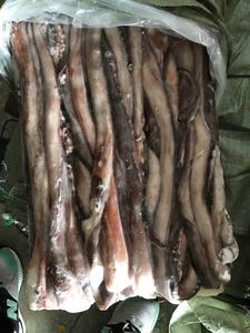 Bevroren Giant Inktvis Lange Seksuele Tentakel - Product Image 5