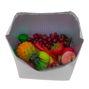Bolsas enfriadoras con revestimiento de caja térmica de lámina de <span class=keywords><strong>plata</strong></span> con aislamiento térmico de estilo de diseño industrial en forma de hoja - Product Image 1