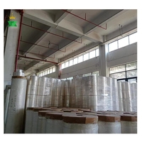 Film de laminage thermique Bopp Mat Brillant Membrane de laminage Imprimé Emballage flexible Rouleau de film pour petits emballages