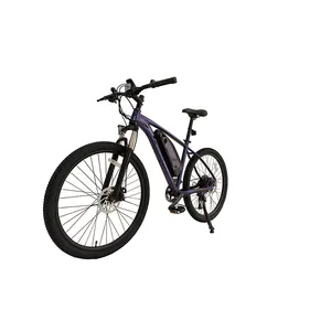 Sepeda Elektrik 2023 W Velo Electrique, Sepeda Elektrik 500W Velo Electrique